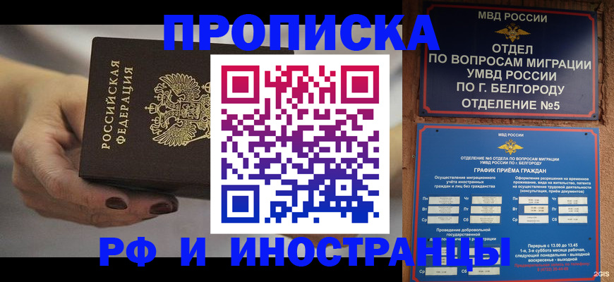 прописка штамп в Михайловске